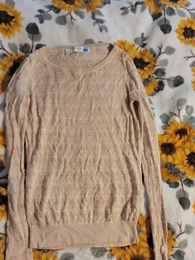 sparrow Beige Shimmer Crew Neck Sweater